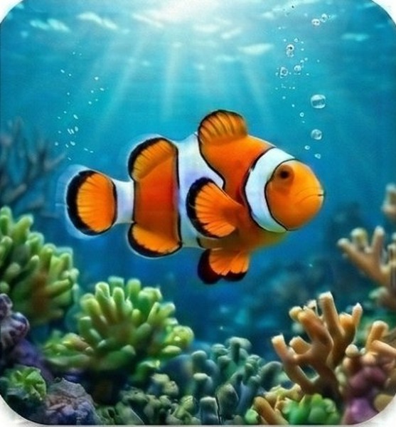 Fish
