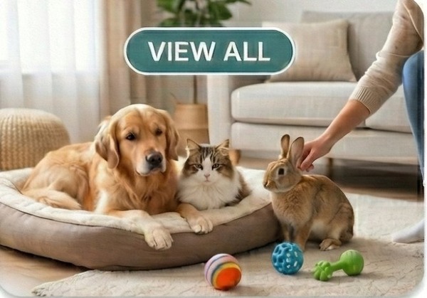 All Pets